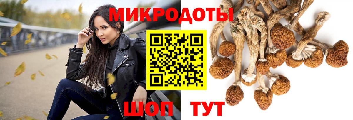 Галлюциногенные грибы Psilocybine cubensis  Псилоцибиновые грибы MAGIC MUSHROOMS  Алапаевск  Вход с VPN 